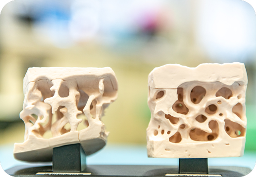 朝倉整形外科の得意分野